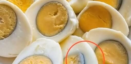 Boiled Eggs vs Fried Eggs, Which Is Better for Breakfast?!