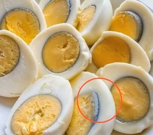 Boiled Eggs vs Fried Eggs, Which Is Better for Breakfast?!